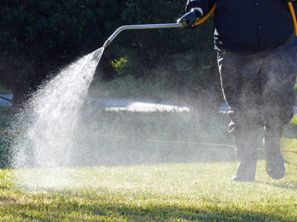 A person is spraying water or a liquid substance onto a lawn with a handheld sprayer.