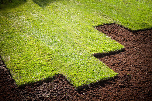 Close-up of freshly laid sod patches on a lawn, with part of the area covered in exposed soil.